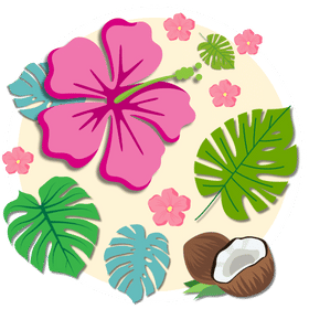 Hawaii ikon