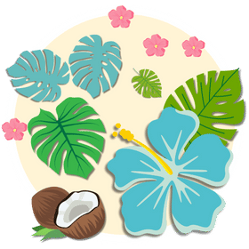 Hawaii ikon