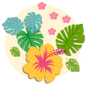 Hawaii ikon